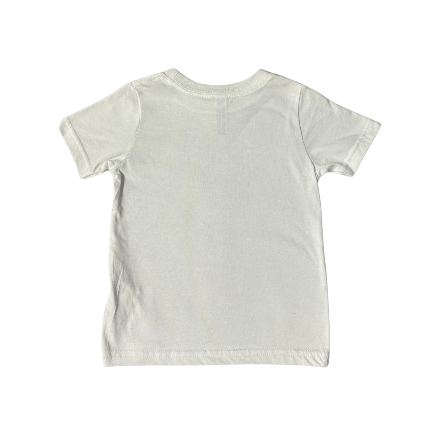 Baseball Sister Shirt