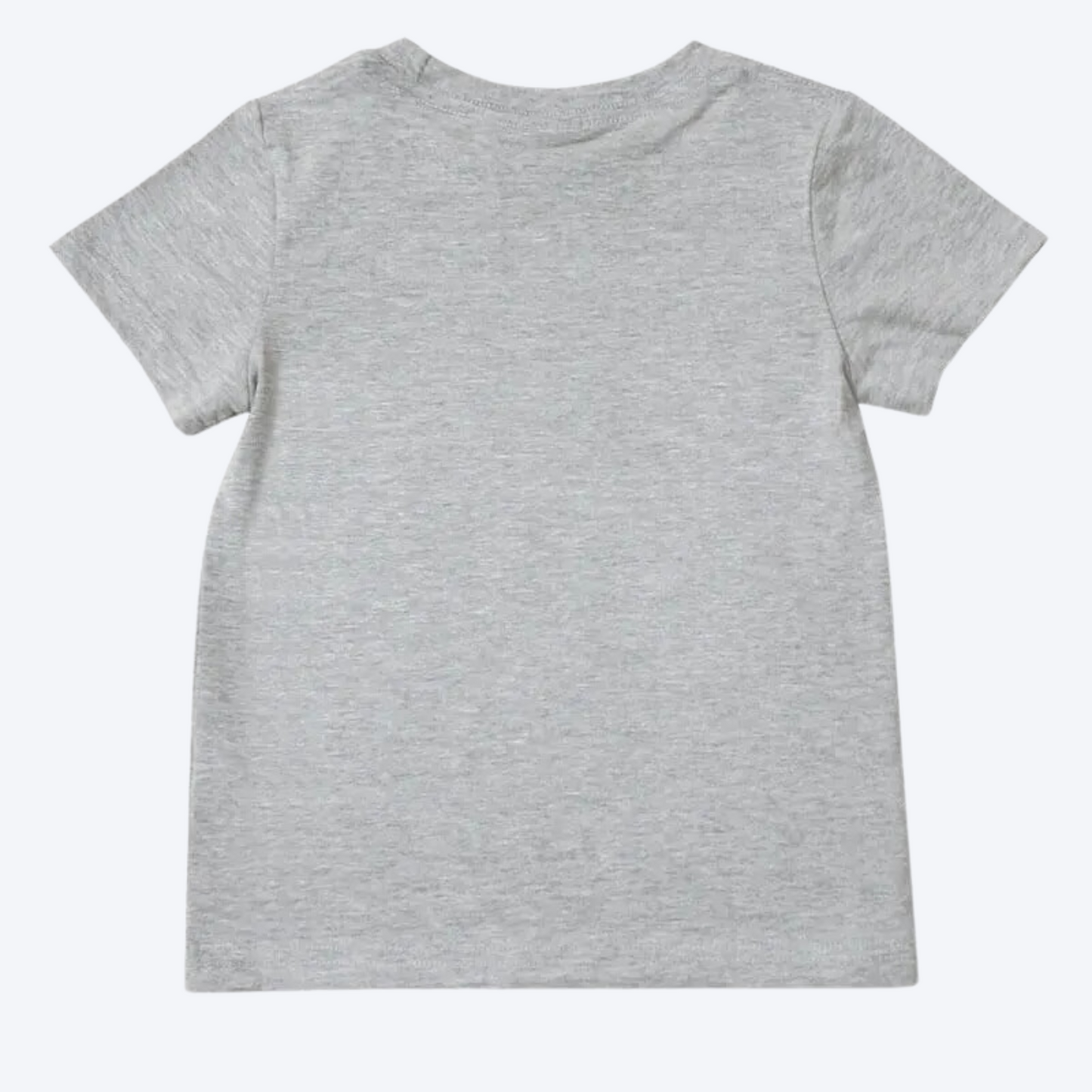 All Boy Grey Toddler T-shirt