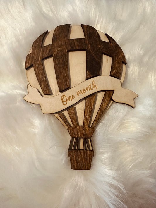 Hot Air Balloon Milestone Sign